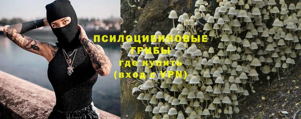 дмт Заволжск
