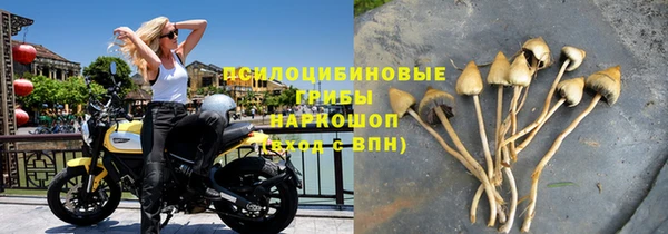 СК Заводоуковск