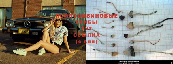 mdpv Зерноград