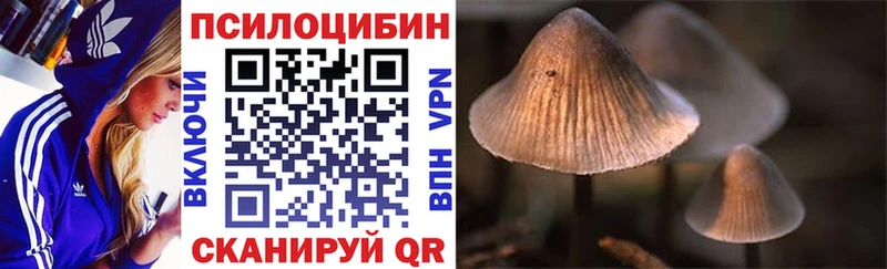 Галлюциногенные грибы Psilocybe  Светлогорск 